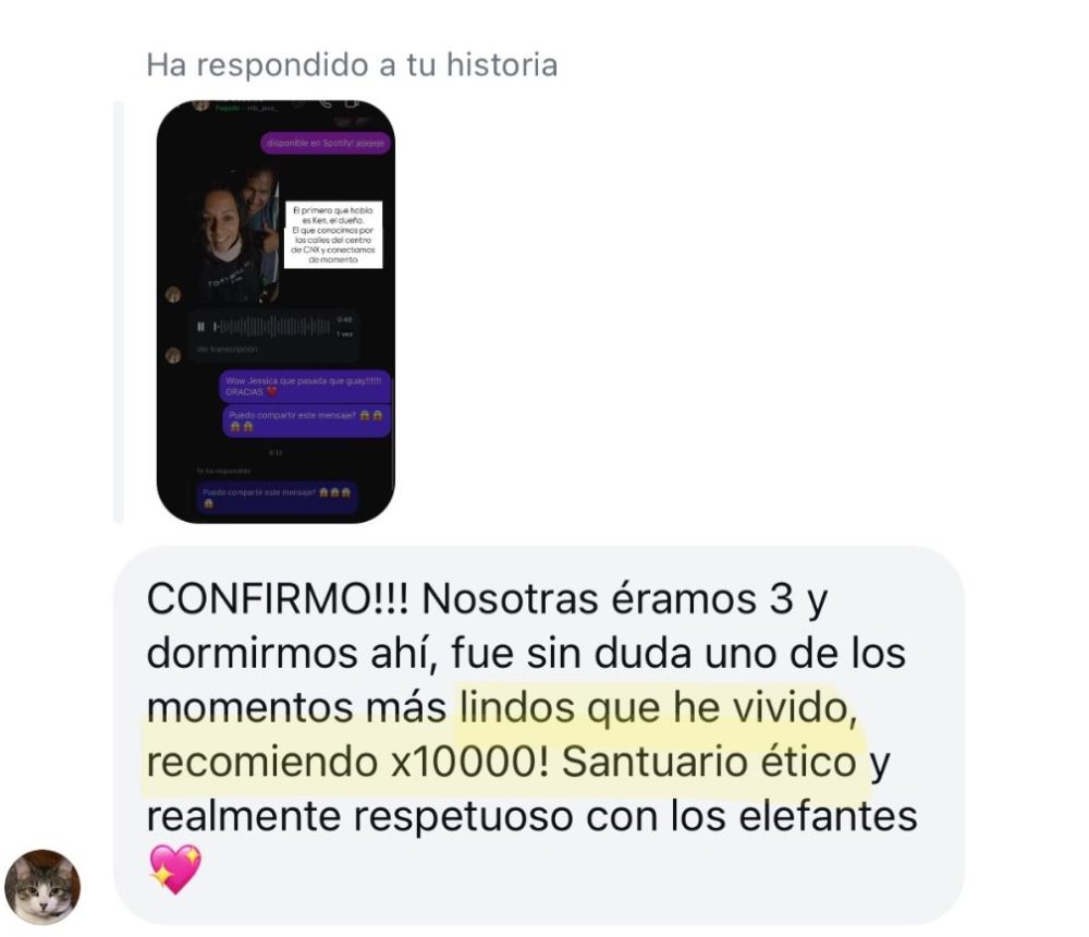 testimonios elefantes - 5