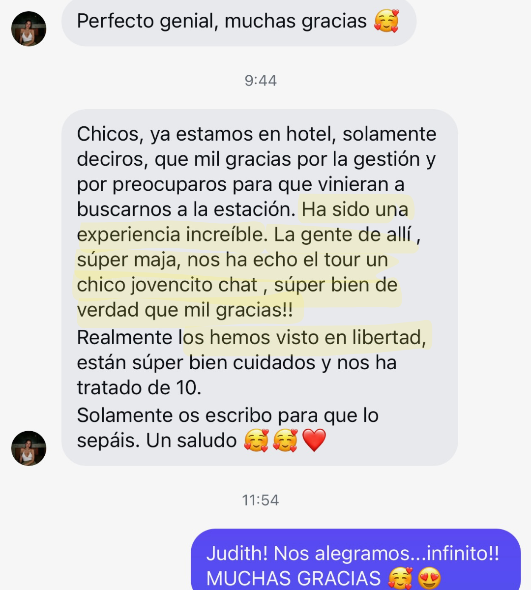 testimonios elefantes